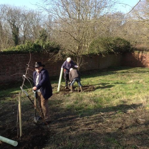 tree planting at larpool hall garden