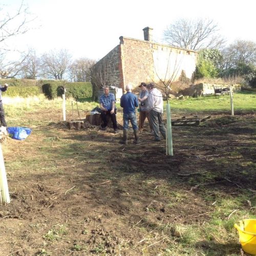 tree planting at larpool hall garden